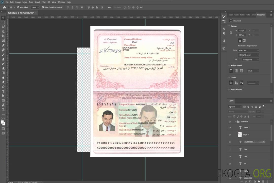 Passeport iranien (2007-2014) template